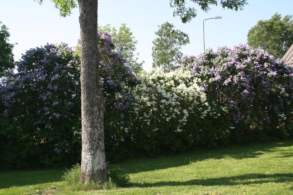 Gaesthem Kronan Mariehamn Bilik gambar